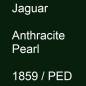 Preview: Jaguar, Anthracite Pearl, 1859 / PED.